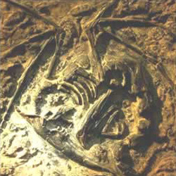 The dragon emerges from the earth like a phoenix rises from the ashes.