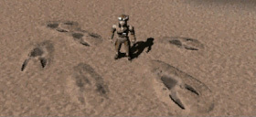 Kyle awakes to find footprints in the sand.