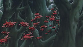 A swarm of insects.