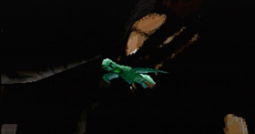 The baby dragon.