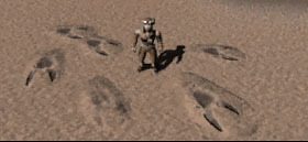 Footprints in the sand.