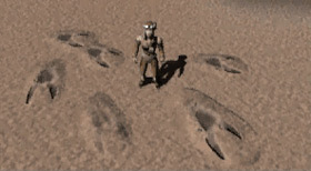 Footprints in the sand.