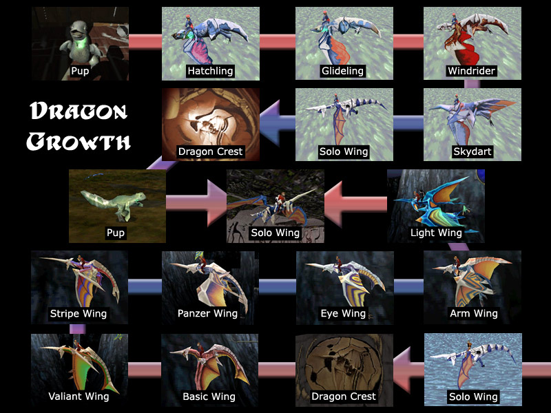 Dragon Growth Diagram.