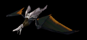 The Solo Wing spiritual class.
