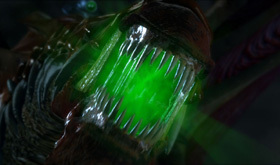 The bioluminary oscillator in action.