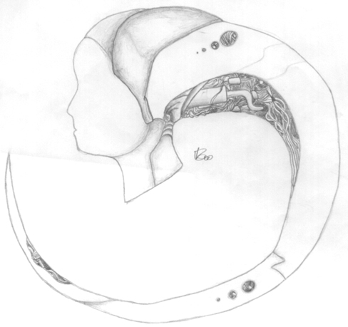 The Inside of Azel's Head