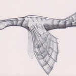 Dracolyth Sketch