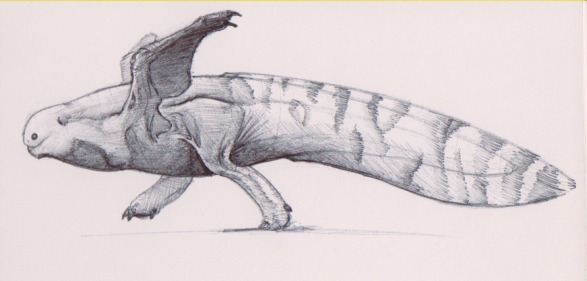Dragon Pup Sketch