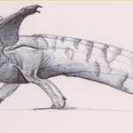 Dragon Pup Sketch
