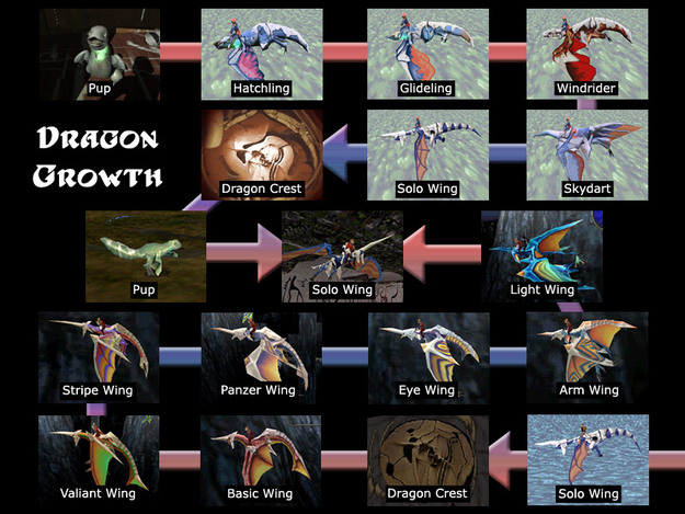 Dragon Growth Diagram