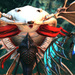 Crimson Dragon E3 2013 Screenshot