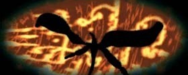 Dragon (Program)