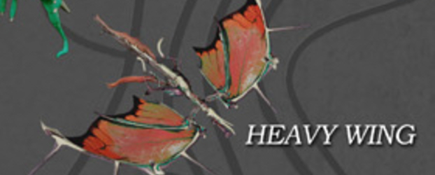 Heavy Wing